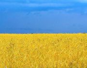 Украина