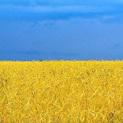 Украина